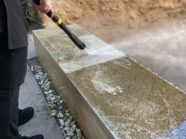 Best Roof Power Washing Services  in Dade City North, FL