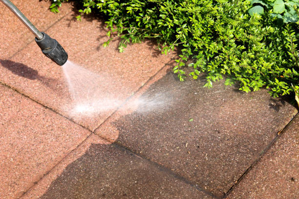 Best Local Pressure Washing Services  in Dade City North, FL